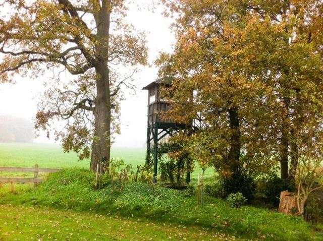 Landhotel Waldseiter Hof Bad Bentheim Esterno foto
